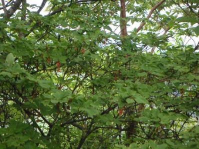 �x�j�h�E�_��